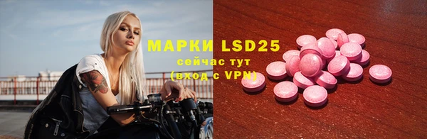 крисы Новодвинск