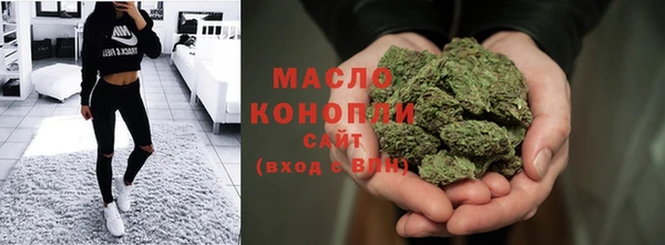 сатива Новокубанск