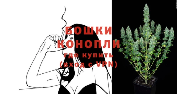 крисы Новодвинск