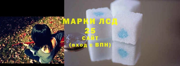 таблы Новозыбков