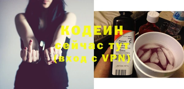 крисы Новодвинск