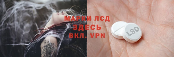 крисы Новодвинск