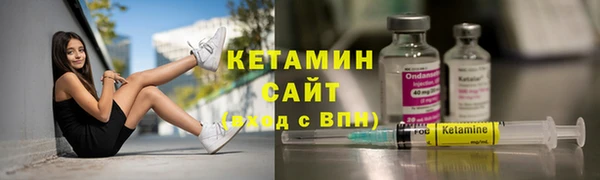 сатива Новокубанск