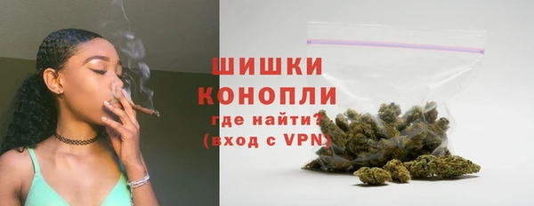 сатива Новокубанск
