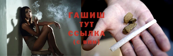 крисы Новодвинск