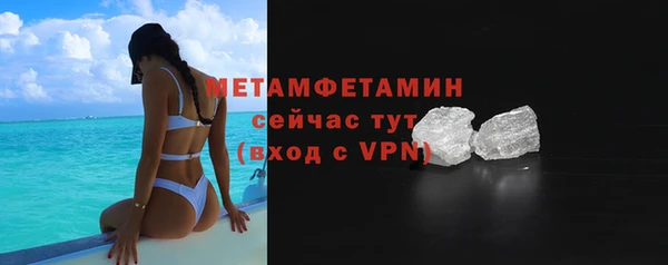 сатива Новокубанск