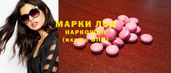сатива Новокубанск