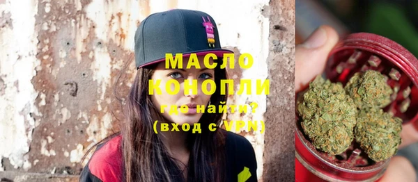 сатива Новокубанск