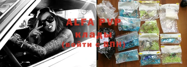 сатива Новокубанск