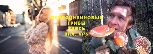 таблы Новозыбков