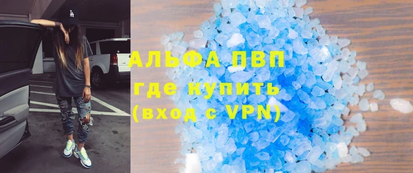 крисы Новодвинск