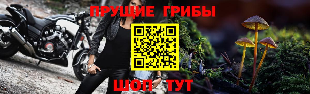 Галлюциногенные грибы Psilocybe  Вход с VPN  Лангепас  Галлюциногенные грибы мицелий 